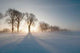 Wintertime Landscape Wall Decal