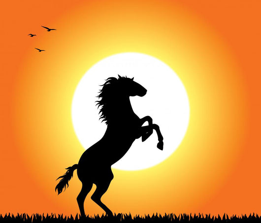 Horse Rearing at Sunset Wall Mural
