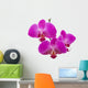 orchids Wall Decal