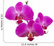 orchids Wall Decal