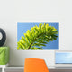 Palm Blue Sky Wall Mural