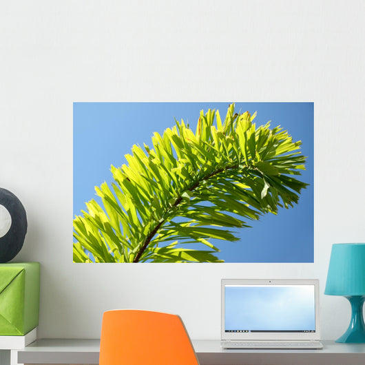 Palm Blue Sky Wall Mural