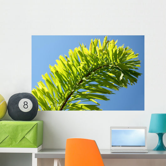 Palm Blue Sky Wall Mural