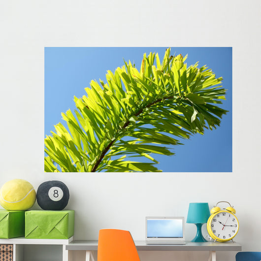 Palm Blue Sky Wall Mural