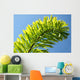 Palm Blue Sky Wall Mural