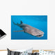 Whale shark Wall Mural