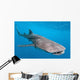 Whale shark Wall Mural