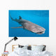 Whale shark Wall Mural