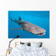 Whale shark Wall Mural