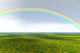 Grass Field with Rainbow Wall Decal