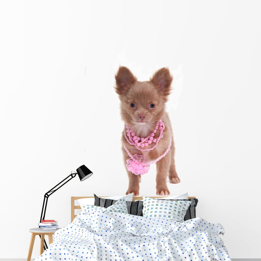 Glamour Puppy with Necklace Wall Mural