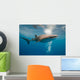 Whale Shark Wall Mural