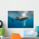 Whale Shark Wall Mural