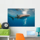 Whale Shark Wall Mural
