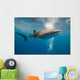 Whale Shark Wall Mural