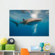 Whale Shark Wall Mural