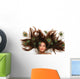 Crazy Peacock Hair Wall Mural