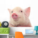 Portrait Pig Wall Decal