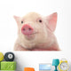 Portrait Pig Wall Decal