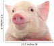 Portrait Pig Wall Decal