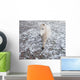 White Pony Snow Wall Mural