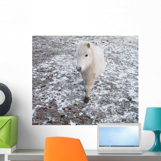 White Pony Snow Wall Mural