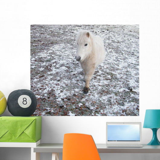 White Pony Snow Wall Mural