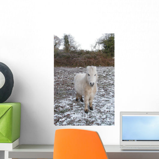 White Pony Snow Wall Mural