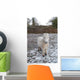 White Pony Snow Wall Mural