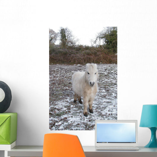 White Pony Snow Wall Mural