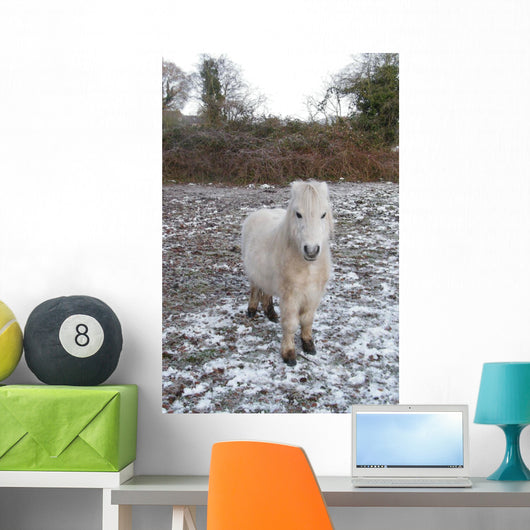 White Pony Snow Wall Mural