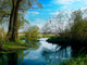 spring landscape by the river Wall Mural
