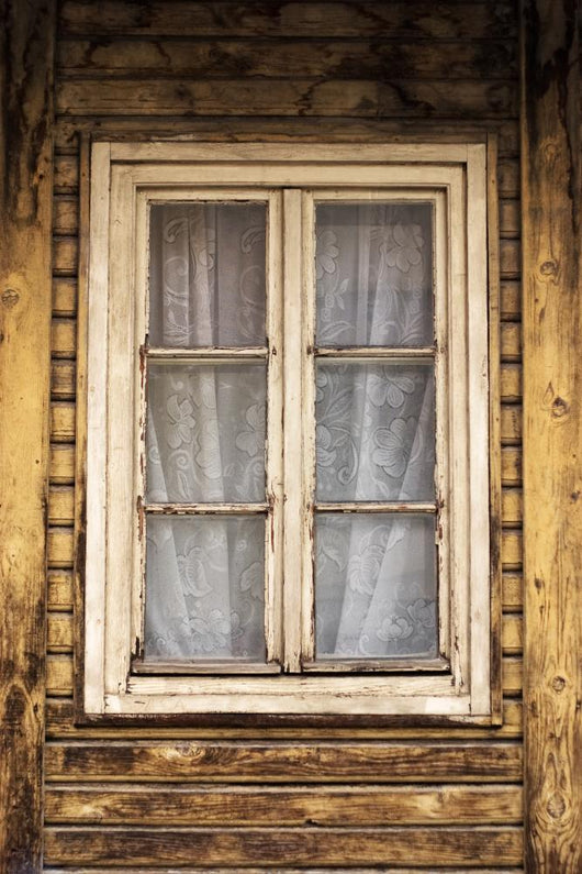 Window Wall Mural