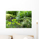 Tropical Garden Wall Mural