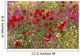 Field of Spring Flowers Wall Mural
