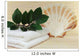 beach towel with shell Wall Mural