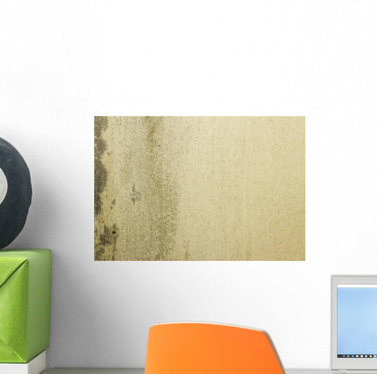 Grunge Mould Wall Texture