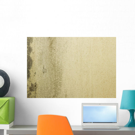 Grunge Mould Wall Texture