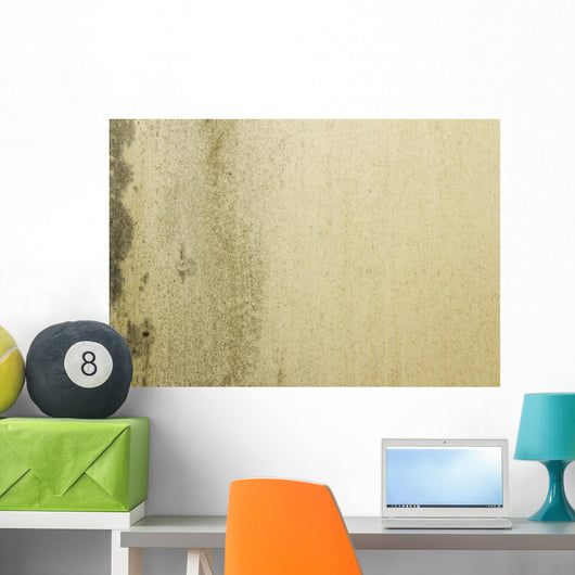 Grunge Mould Wall Texture