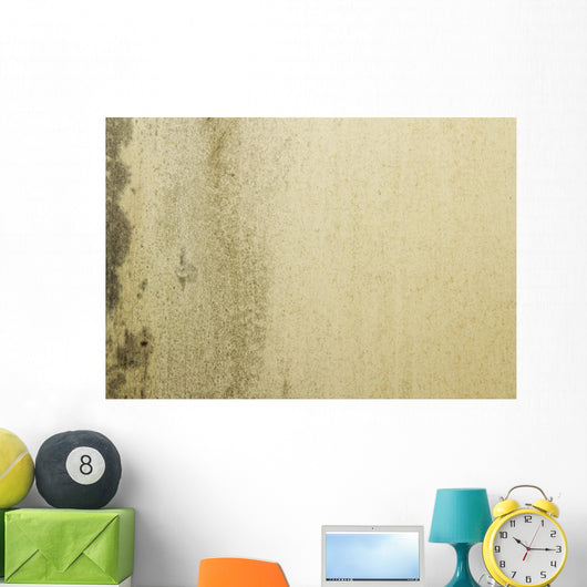 Grunge Mould Wall Texture