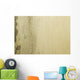 Grunge Mould Wall Texture