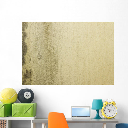 Grunge Mould Wall Texture