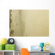 Grunge Mould Wall Texture