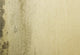 Grunge Mould Wall Texture