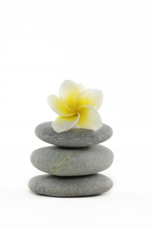 Frangiapani Flower in Stack Zen Stones Wall Decal