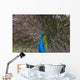 Peacock Wall Mural