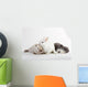 3 Rabbit Baby Wall Decal