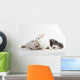 3 Rabbit baby Wall Decal