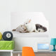 3 Rabbit baby Wall Decal