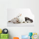 3 Rabbit baby Wall Decal